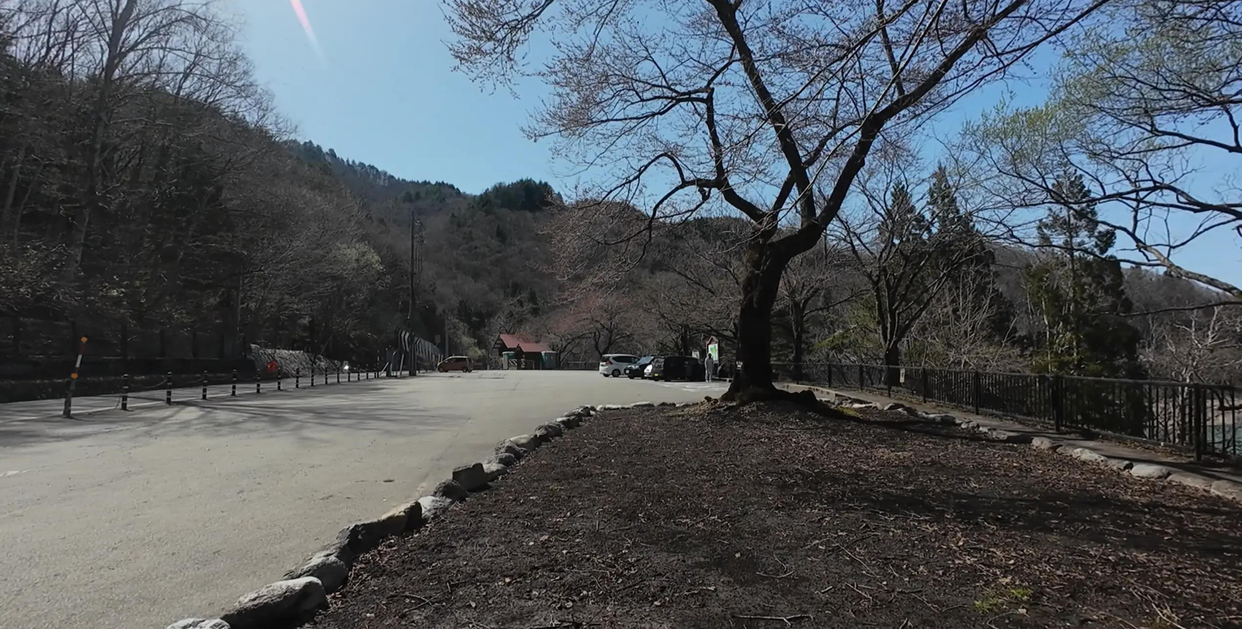 入園料や駐車場は無料