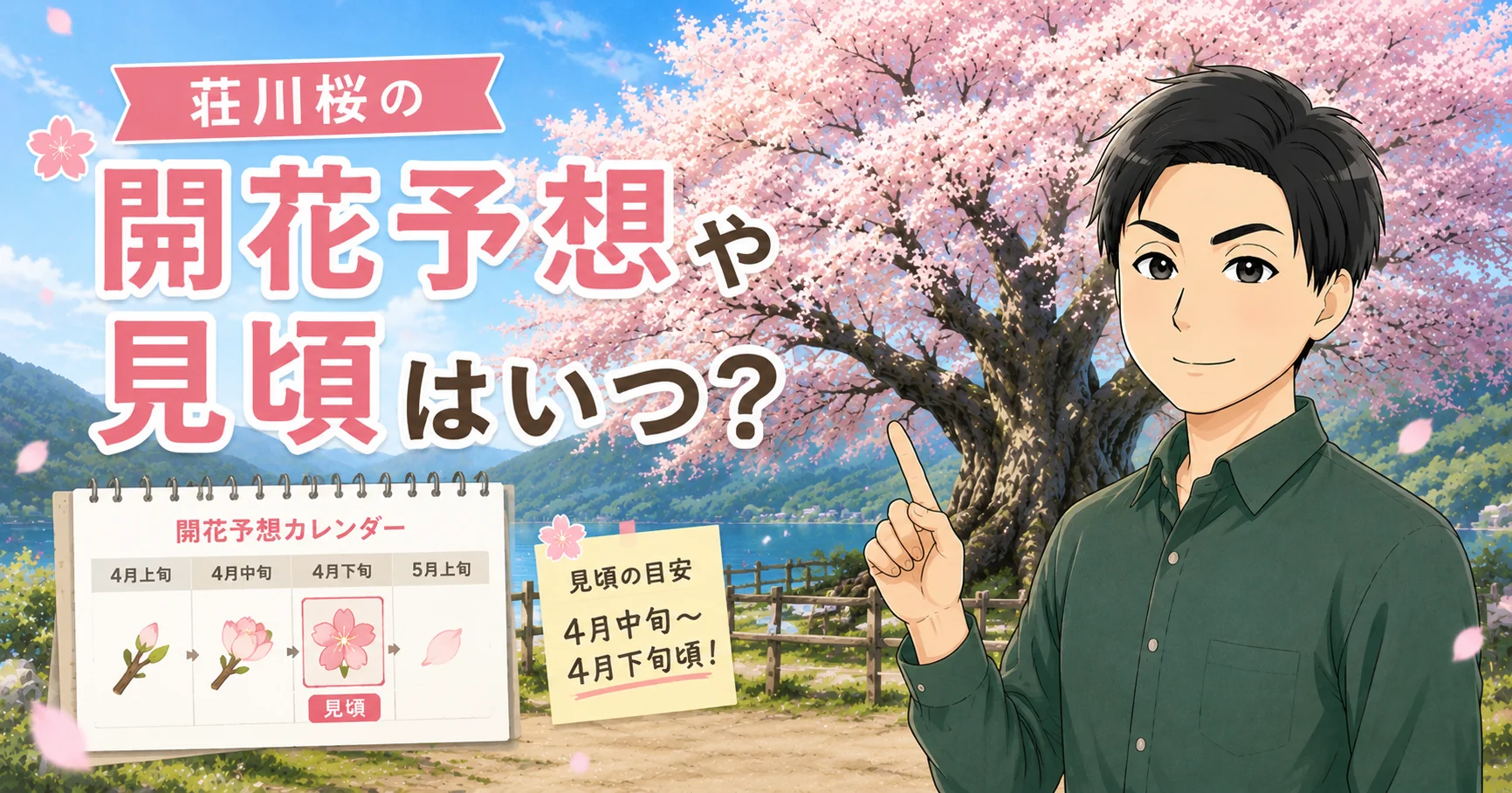 荘川桜の開花予想や見頃
